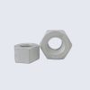 Hex Nut
