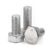 304L-Bolt