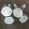 Hex Bolts