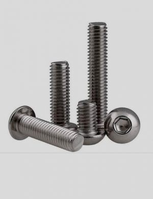 Dome Head Screws