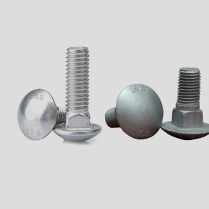 Carriage Bolts