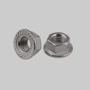 Hex Flange Nuts manufacturer at Asia Bolts