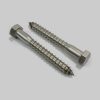 Lag Bolts