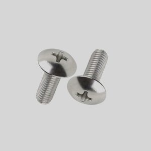 Mushroom Head Screws