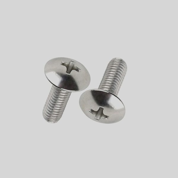 Mushroom Head Screws