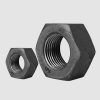 Hex Nut